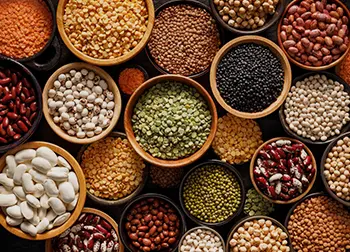 lentils beans