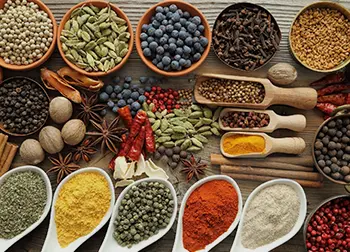 Spices herbs seasonings